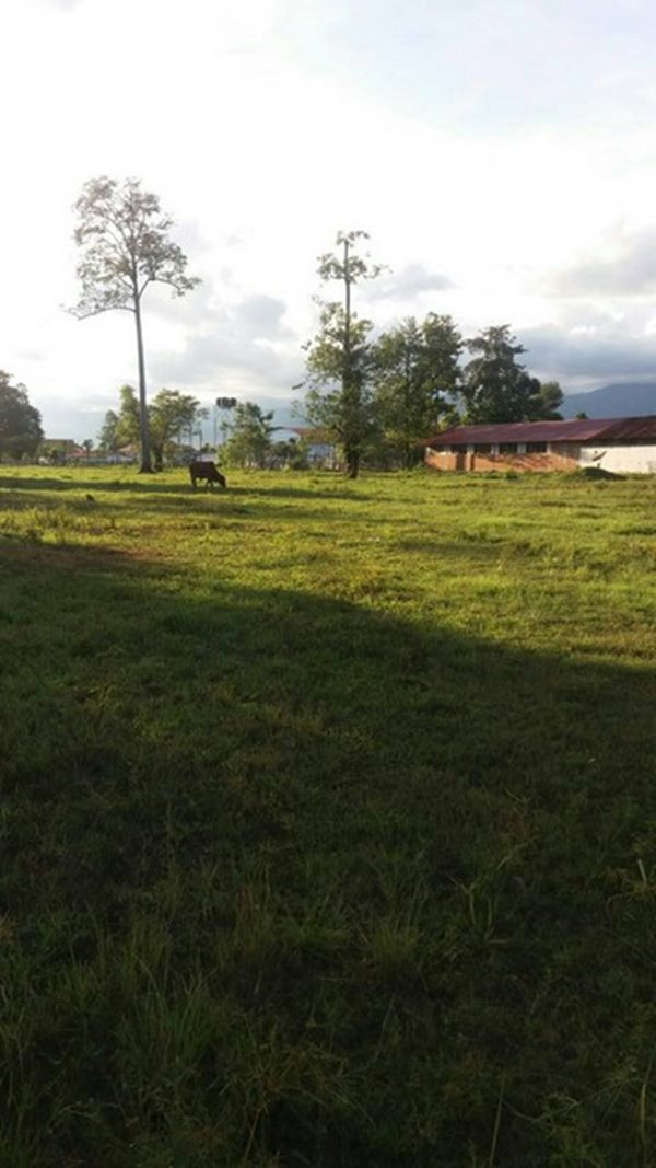 ขายที่ดินด่วนๆ ลดราคาอีกแล้ว 15 ไร่ ต.ไคสี เมืองบึงกาฬ อยู่ติด ถ.ชยางกูร และใกล้แหล่งท่องเที่ยว ติดทางเข้าวัดอาฮงศิลาวาส โทร 0632897879